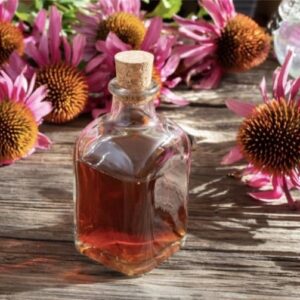 Echinacea Tincture