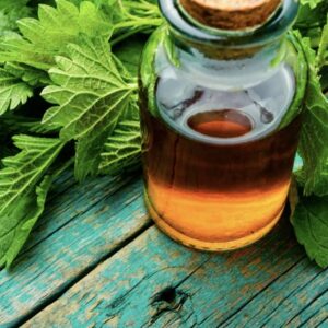Stinging Nettle Tincture