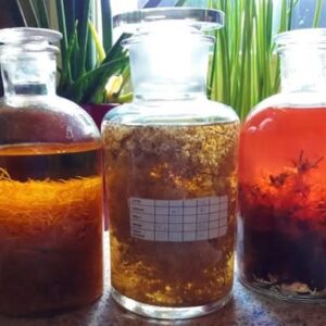 Bladderwrack Tincture